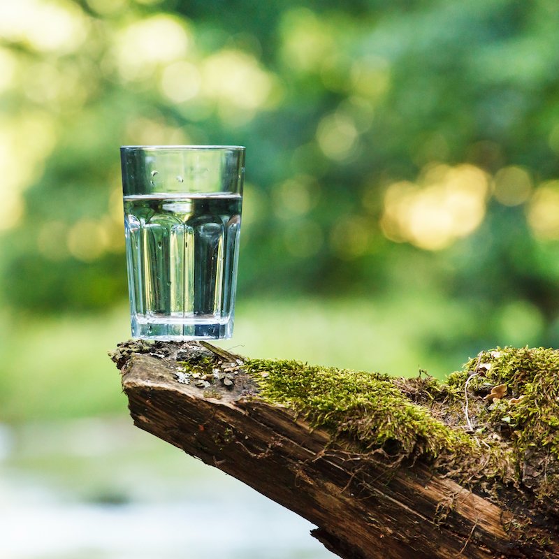 Ein Wasserglas steht auf einem bemoosten Holzstück.n